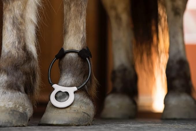 Assisi Loop 2.0 Manual tPEMF Device for Dogs, Cats, and Horses (10 cm)