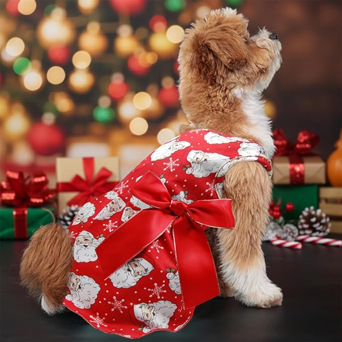 Christmas Santa Claus Dog Dress, Festive Holiday Pet Skirt Outfit with Snowflake Design for Small and Medium Dogs