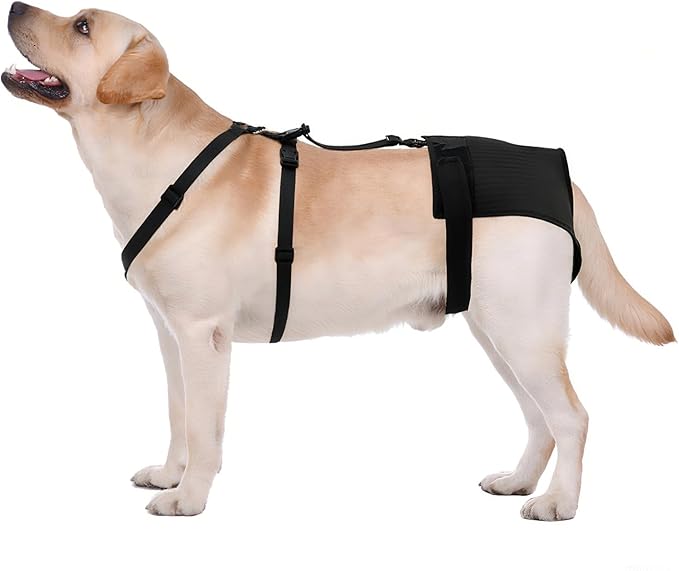 Female Dog Heat Pants with Harness Design - Anti-Slip, Anti-Mating, Reusable & Washable Underwear for All-Day Protection (Black, XL)