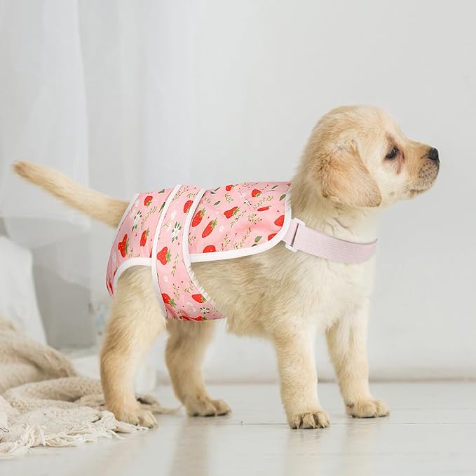 ASENKU 2 Pack Dog Diapers Female Dogs, Dog Suspenders Reusable Doggie Diapers for Female Dogs Small,Washable Dog Period Diapers Dog Panties for Small Girl Dogs in Period Heat
