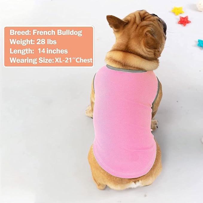 KYEESE 2Pack Dog Cooling Shirt, Breathable Dog Shirt for Small Dogs, Sun Protection Dogs Cooling Vest Tank Top, Lightweight Soft Sleeveless Summer Pet Clothes, Pink+Grey, M