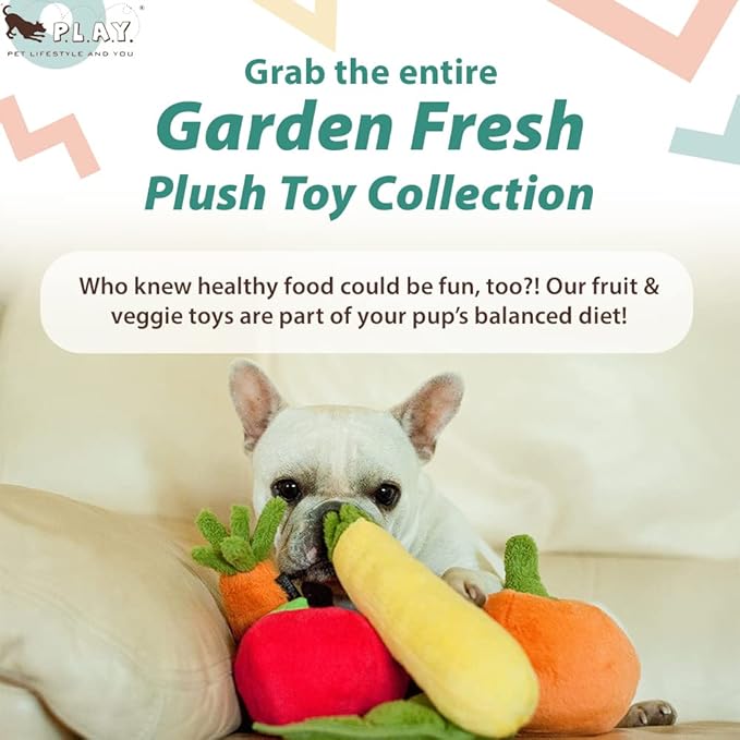 P.L.A.Y. Cute Plush Dog Toys - Fruit & Vegetable Themed Durable Squeaker Chew Toy, Great for Puppies & Small, Medium, Large Dogs - Machine Washable, Recycled Materials (Garden Fresh Zucchini, Medium)