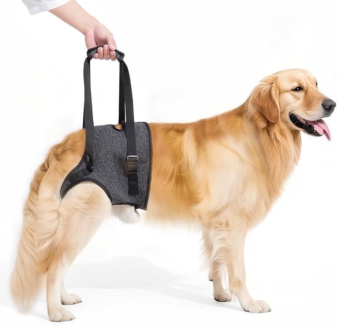 Dog Sling for Large Dogs Hind Leg Support, Adjustable Soft Padded Harness for Weak, Injured, or Disabled Back Legs, Helps Support Senior, Arthritic, and Mobility-Impaired Dogs (Large)