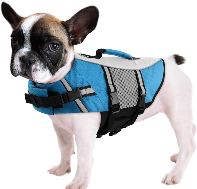 Queenmore Dog Life Jacket Vest for Swimming Boating Kayaking, Small Medium Doggie Puppy Life Preserver Lifesaver Pet PFD Lifejacket Safety Water Vest Pool Floatie (New Blue,S)