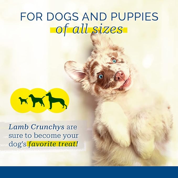 Pet Center, Inc. PCI Lamb Crunchys Raw Dehydrated Lamb Lungs Dog Treats, 8 Ounce Pack, one Size