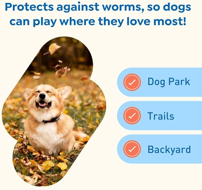 Interceptor Plus Prevention for Heartworm + 4 Other Worms for Dogs 8.1-25 lbs. | 1 Chew, 1-Month Supply