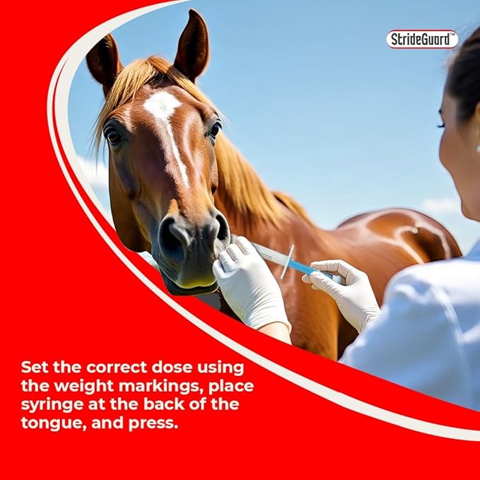 Horse Ivermectin Paste 1.87% – Apple Flavored Oral Horse Dewormer Syringe – 6.08g Tube Treats Horses Up to 1,250 lbs [Pack-9]