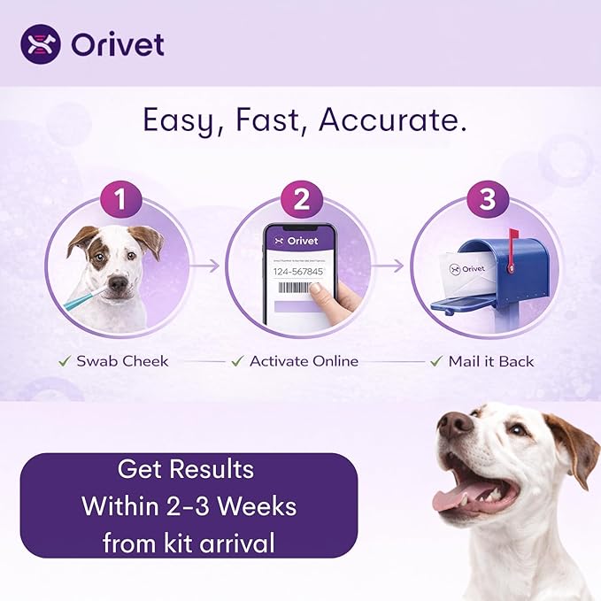 ORIVET Dog DNA Test Kit – Comprehensive Dog DNA Test Kit for Over 330+ Breed Identification | At Home Dog DNA Kit with Canine Genetic Testing & Life Plan Genopet