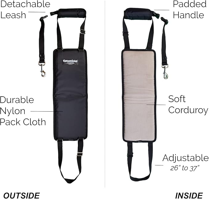 GINGERLEAD Dog Sling Hip Support Harness, Tall Female fits Tall, Lean Female Dogs Like Greyhounds or Great Danes. Padded Lifting Aid to Help Pets Up or Down Steps, in or Out of Vehicles. Made in USA