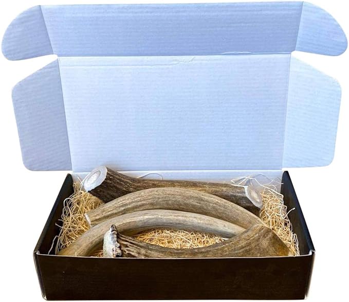 The Antler Box Premium Deer Antler Dog Chews (1 lb Bulk Pack) (Large (3 to 4 Antlers/lb))
