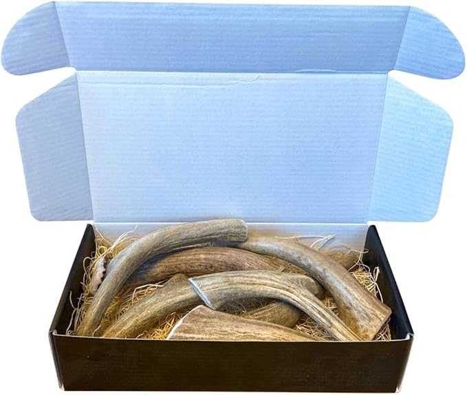 The Antler Box Premium Deer Antler Dog Chews (1 lb Bulk Pack) (Small(7 to 8 Antlers/lb