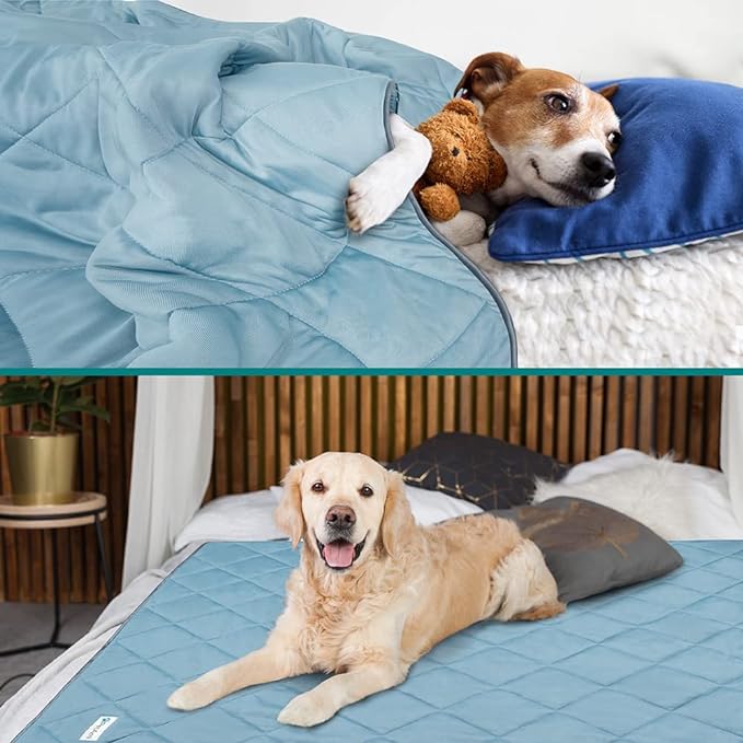 PetAmi Premium Cooling Dog Blanket | Lightweight Fluffy Pet Throw Blanket Bed Cover for Dogs, Cat, Puppies | Pet Blanket Furniture Protector Couch Sofa | Reversible Fuzzy Cozy | 60x80, Dusty Blue