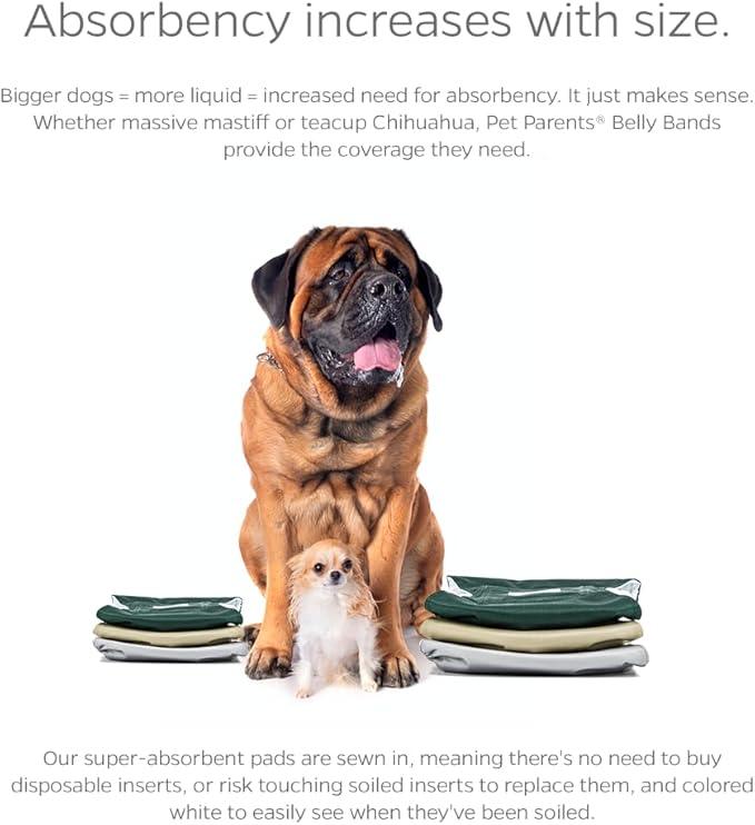 Pet Parents® Washable Belly Bands for Male Dogs (3pack) + Extendrs® of Durable Dog Diapers Male, Premium Male Dog Diapers & Dog Wraps (Large, Spruce)