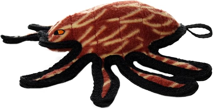 Tuffy Desert Spider