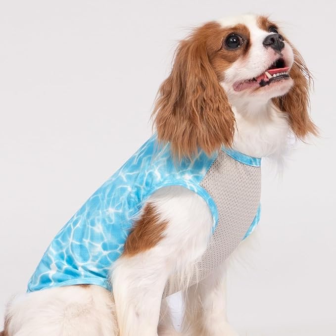 Fitwarm 2 Pack Marine UPF 50+ UV Sun Protection Dog Shirt, Lightweight Cooling Vest, Quick Dry Summer Clothes for Small Dogs Boy Girl, Pet Outfit, Sky Blue, Mint Green, Small