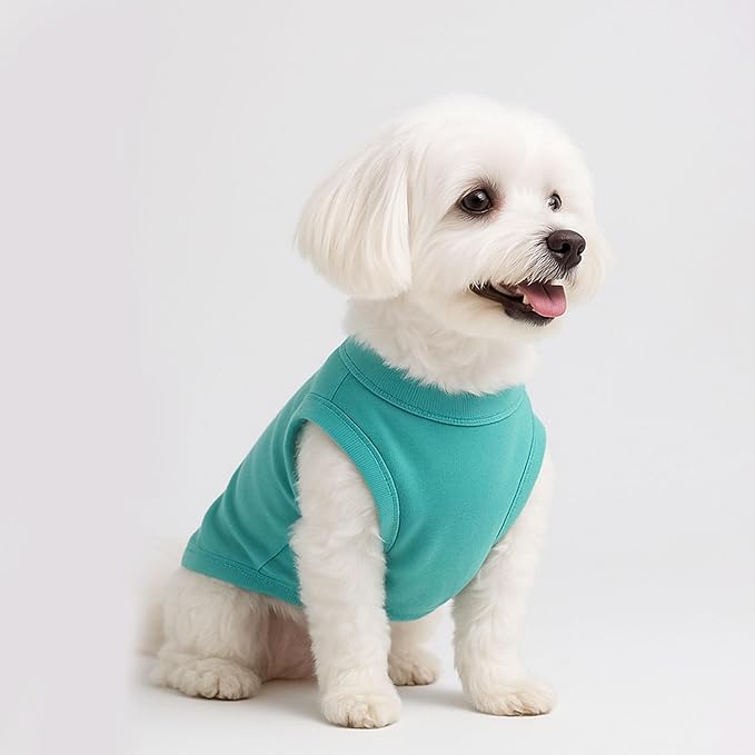 2 Pieces Dog Clothes for Small Dogs Girl Boy Chihuahua Clothes Summer Puppy Soft Dog Shirt Solid Color Pet Clothing Cute Cat Cloth, XXS,Green,Blue