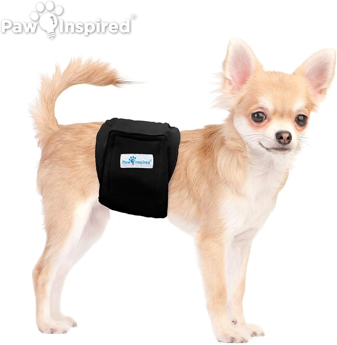 Paw Inspired 3-Count Reusable Male Dog Wraps, Washable Diapers for Male Dogs, Belly Bands for Incontinence, Surgery, Male Marking (XS Size, Black Color with Black Lining, Pack of 3)