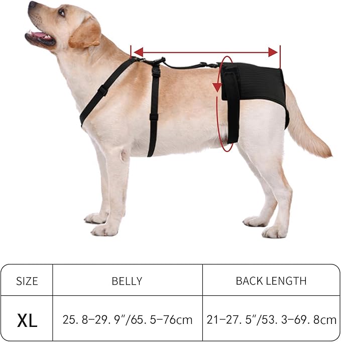 Female Dog Heat Pants with Harness Design - Anti-Slip, Anti-Mating, Reusable & Washable Underwear for All-Day Protection (Black, XL)