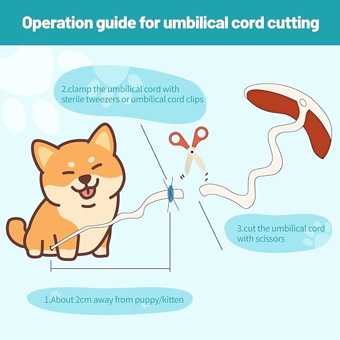 48-Piece Puppy Whelping Kit – Complete Whelping Supplies for Safe Puppy Birth, Includes Feeding Tubes, Collars, Cord Clamps, Urine Pads, Gloves & More – Essential Puppy Birthing Kit for Breeders
