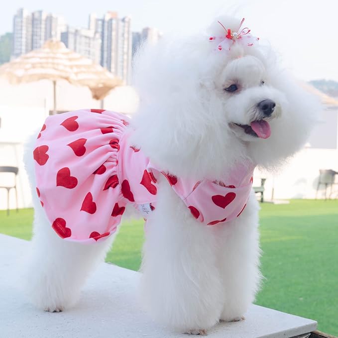 CuteBone Turtleneck Dog Velvet Dress Puppy Skirt Costume Pet Clothes Cat Apparel with Bow Hair Rope for Small Dogs CVD02XXS