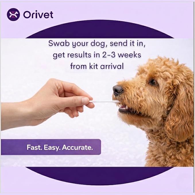 ORIVET Dog DNA Test Kit – Comprehensive Dog DNA Test Kit for 365+ Breed Identification & 330+ Health Markers | At Home Dog DNA Kit with Canine Genetic Testing & Life Plan Genopet Plus