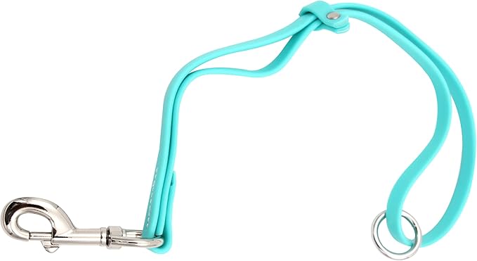 Waterproof Grooming Loop - Turquoise