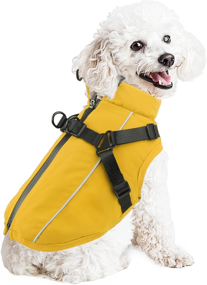 Dog Winter Coat Reflective Water-Resistant Jacket, Fleece Lined Windproof Puppy Coat with Back Zipper & D-Ring, Cold Weather Dog Coats for Small Medium Dogs (M, Orange)