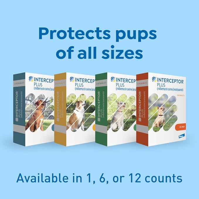 Interceptor Plus Prevention for Heartworm + 4 Other Worms for Dogs 2-8 lbs. | 6 Chews, 6-Month Supply