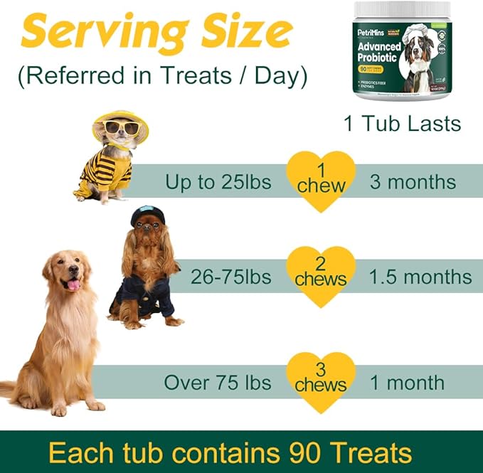 Advanced Probiotic for Dogs, Supports Digestive Health, Immune Health, Gut Health, Improves Nutrient Absorption - Six Strains of Probiotics - Inulin - Enzyme Blend, 90-Count, Bacon