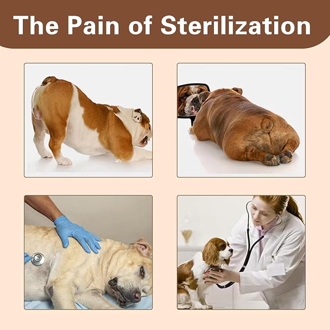 Male Dog Simulation Mating Toy, Teddy Vent Silicone Toy, Sleep Estrus with Heartbeat Plush Toy Dogs, Anxiety Relief Dogs Toy Gift for Dog Lovers 9.8In / 25cm