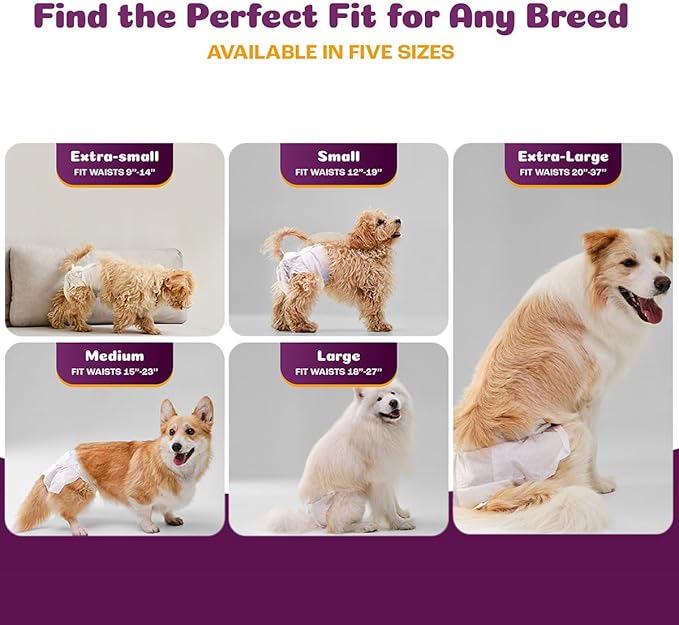 Inspire Pet Care Dog Diapers Female Dogs | Bulk Value Doggie Incontinence, Accidents, for Heat, Pee or Period and Housebreaking (Small (100 Count))