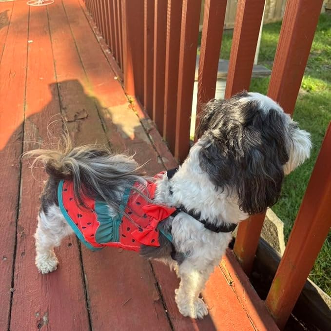 Funny Dog Swimwear Bikini Summer Dog Clothes Beach Swimsuit Puppy Bathing Suit Puppy Vest Cooling Pet Shirt for Small Dogs, Cat Apparel (Watermelon, Large)