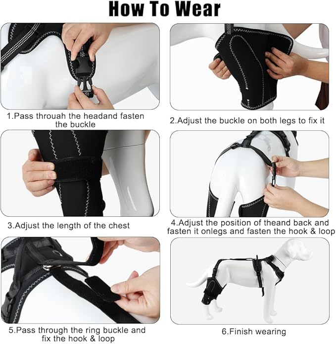 Vivifying Dog Hip & Leg Support Harness for Mobility Assistance, Adjustable Rear Leg Brace with Lift Handle for Injured or Senior Dogs, Joint Stabilizing Hind Leg Support for Walking, Recovery (XL)