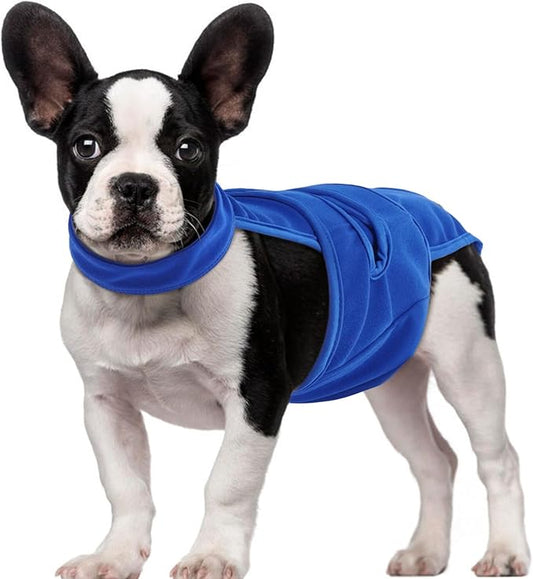 QBLEEV Female Dog Diapers with Adjustable Suspenders – Washable Sanitary Panties for Dogs in Heat or Incontinence, Escape-Proof Reusable Pet Period Underwear Onesie for Small to Large Breeds