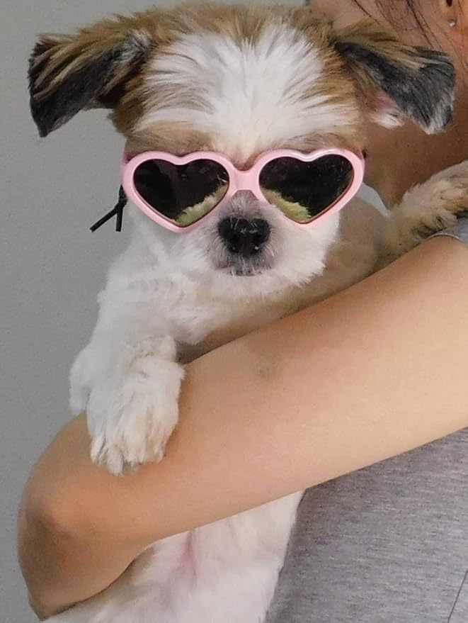 G016 Dog Pet Puppy Heart Sunglasses Glasses for Small Breed up to 15lbs (2-Pack Heart Red + Heart Pink-Pink mr)
