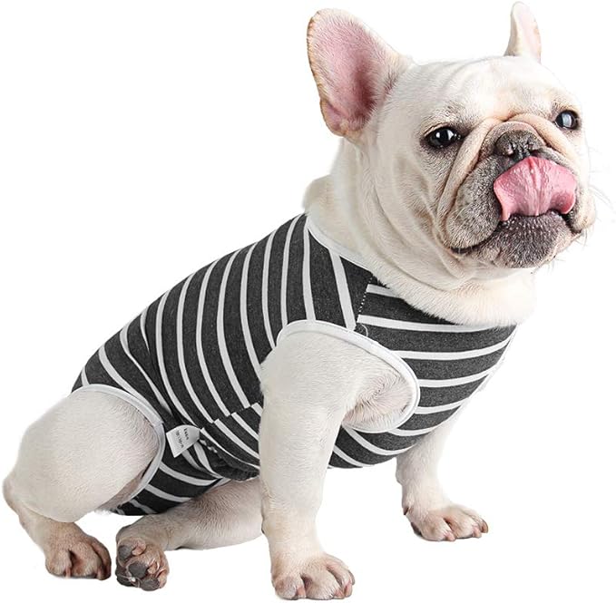 Etdane Dog Diapers Sanitary Panties Period Shirts Surgical Recovery Suits for Male and Female Dogs White Stripe X-L