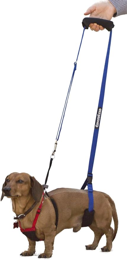 GINGERLEAD Dog Support Sling Harness, X-Small Fits Little Pets Under 25 lbs or Dachshunds with IVDD, Spinal Disc Disease, or Back Injuries. Assist Old or Recovering Pets. Chest Harness NOT Included.