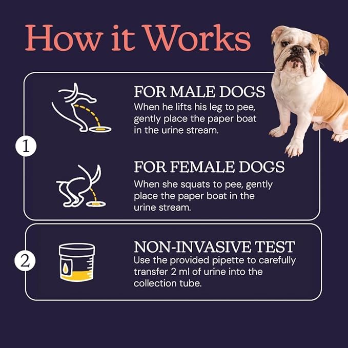 Premium Dog Cancer Screening Test Kit – Non-Invasive, at-Home Urine Test for General Wellness Insights – Suitable for All Breeds and Ages