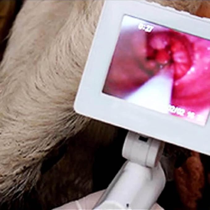 Dog Artificial Insemination Ai Gun, Adjustable Dog Insemination Kit, 360° Rotatable Screen, Photo-Video Recordable, with 20 Vas Deferens and 4 Locating Steel Needles, for Dogs