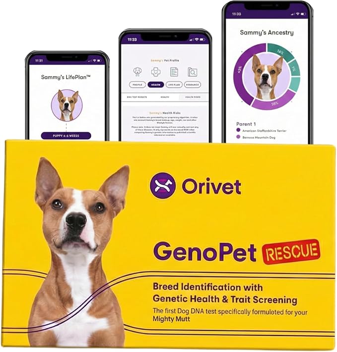 ORIVET Dog DNA Test Kit – Comprehensive Dog DNA Test Kit for 365+ Breed Identification & 265 Health Markers | At Home Dog DNA Kit with Canine Genetic Testing & Life Plan Genopet Rescue