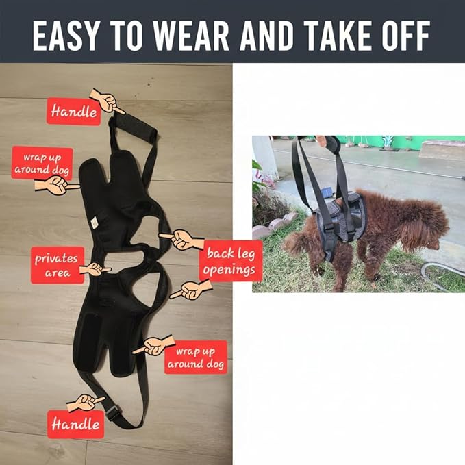 Dog Lift Harness for Back Legs–Sturdy Dog Support Sling–Hip Sling Carrier for Large Medium Canine, Stair Helper for Aid Old Ligament Rehabilitation Pet, Grey,S