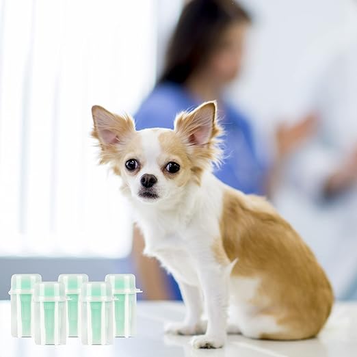 12pcs Fecal Diagnostic Kit, Animal Pet Stool Sample Collection Kit Cat Dog Stool Test, Fecalyzer for Stool Sample Fecal Test