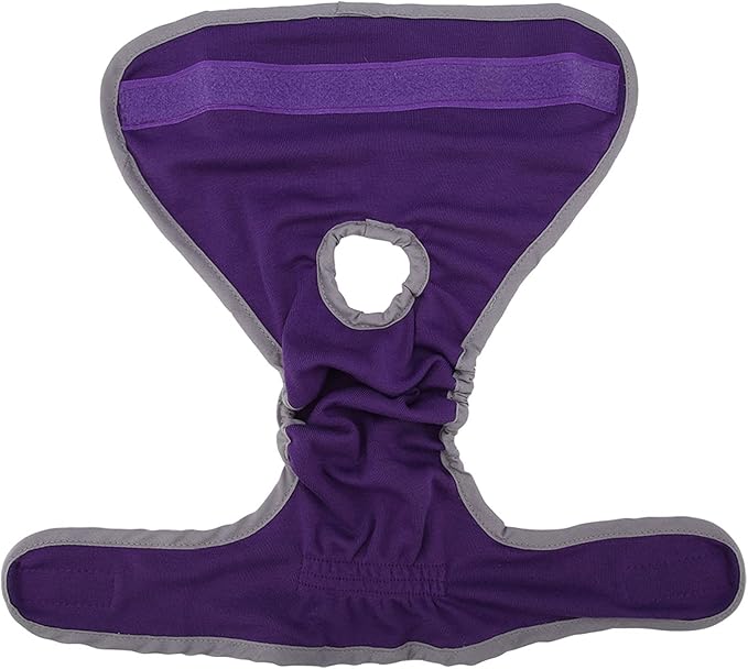 Yinhing Dog Female Physiological Pants Premium Polyester Underwear Pet Sanitary Diaper Elastic Band Hook Hoop Closure Small Medium Large Dogs (M)