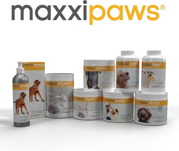 maxxipaws - maxxiflex+ Hip & Joint Supplement for Dogs with Glucosamine, Chondroitin, MSM & Collagen | Mobility, Flexibility & Discomfort Support | Senior, Adult & All Breeds | 120 Tablets