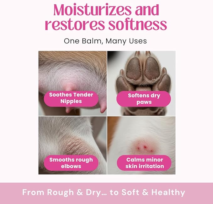 Nipple Soothing Balm for Nursing Dogs & Cats – Lick-Safe, Lanolin-Free, All-Natural Nipple Butter – Soothes Chapped & Cracked Skin – Coconut Oil, Shea Butter, Vitamin E, 2.11 oz
