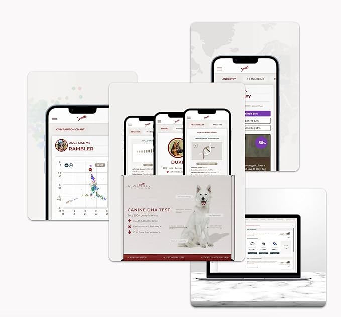AlphaDog DNA Behavioral Traits & Breed Composition Analysis Kit with Personalized Marketplace Access – Canine DNA Test for Breed Identification, Behavior Insights & More