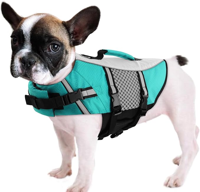 Queenmore Dog Life Jacket Swimming Vest Small Medium Dogs Neoprene Boating Life Preserver Lightweight Reflective Cat Puppy Kayaking Lifesaver for French Bulldog,Dachshund,Shih Tzu,Pug(Peacock Green,M)