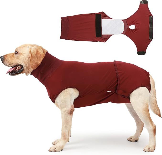 HEYWEAN Full Body Dog Diaper with a Puppy Nappies Physiological Dog Surgery Recovery Suit for Male Female Dogs