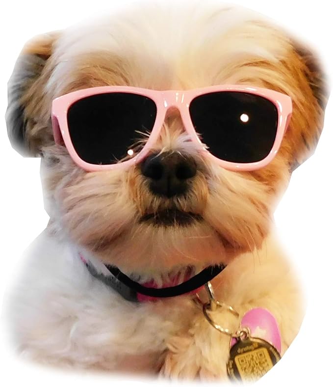 G014 Dog Pet 80s Sunglasses Goggles for Small Dogs up to 15lbs (Pink)