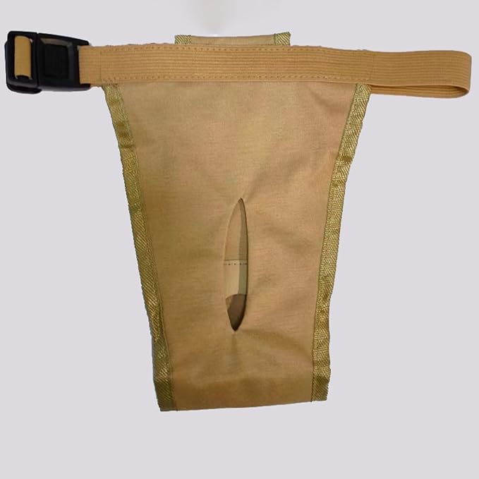 Dog Pants with 3 Replace Diaper, Female Dog Heat Cycle Reusable Diapers Adjustable Pads for Dogs in Heat Brown 2XL